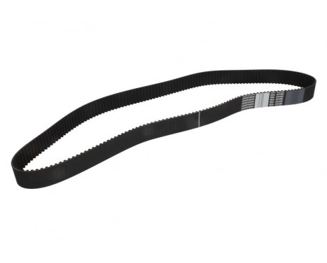 Timing belt CT894 Contitech