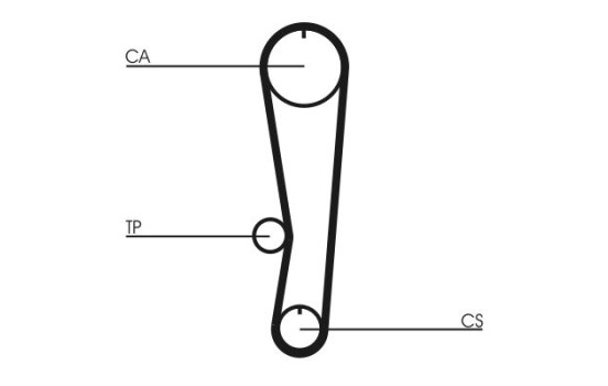 Timing belt CT895 Contitech, Image 4