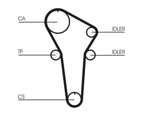 Timing belt CT899 Contitech, Image 3