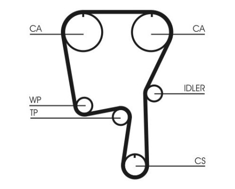 Timing belt CT907 Contitech, Image 3