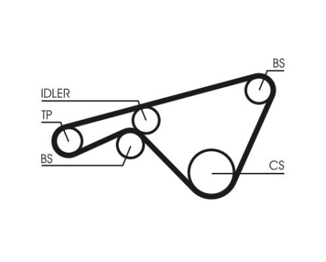 Timing belt CT925 Contitech, Image 2