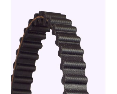 Timing belt CT925 Contitech, Image 3