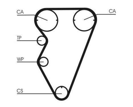 Timing belt CT929 Contitech, Image 3