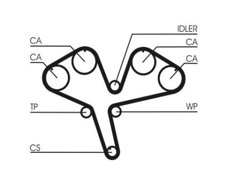 Timing belt CT930 Contitech, Image 4