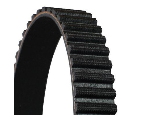 Timing belt CT931 Contitech, Image 3
