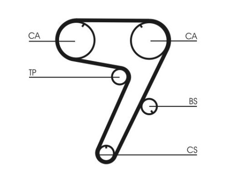 Timing belt CT931 Contitech, Image 4