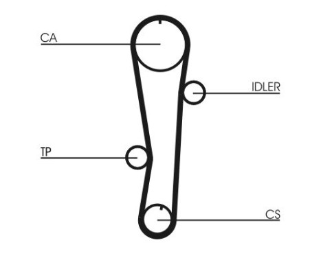 Timing belt CT942 Contitech, Image 3