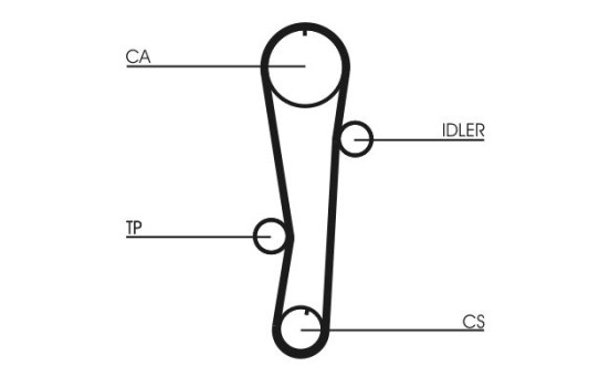 Timing belt CT942 Contitech, Image 3
