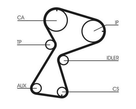 Timing belt CT949 Contitech, Image 3