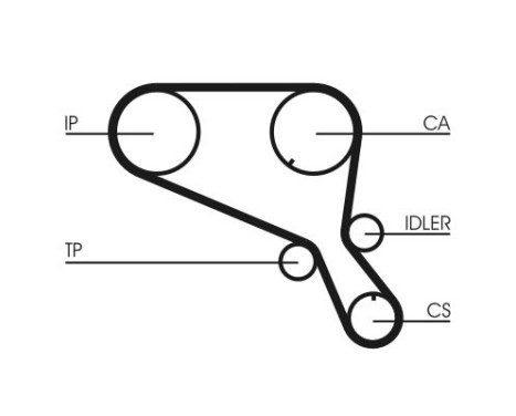 Timing belt CT952 Contitech, Image 4