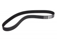 Timing belt CT954 Contitech