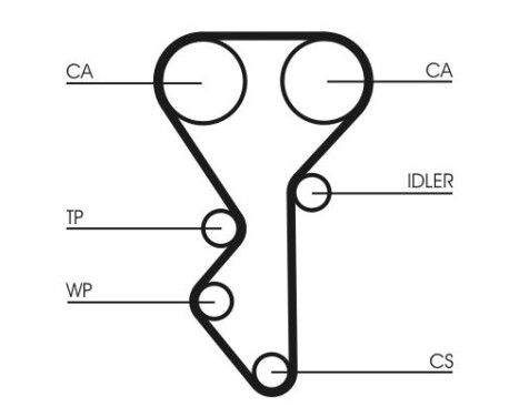 Timing belt CT955 Contitech, Image 3