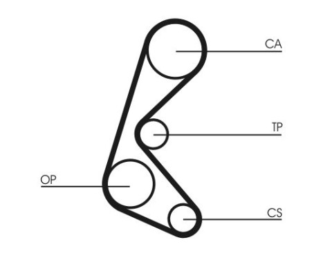 Timing Belt CT964 Contitech, Image 3