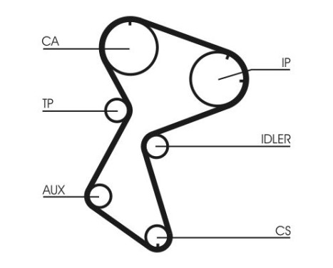 Timing belt CT966 Contitech, Image 4