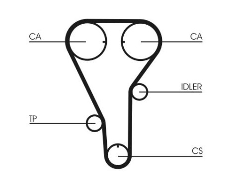 Timing Belt CT972 Contitech, Image 4