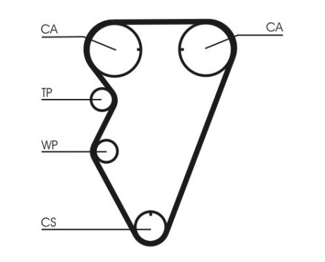 Timing belt CT974 Contitech, Image 3