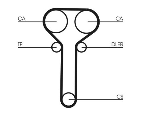 Timing belt CT978 Contitech, Image 4