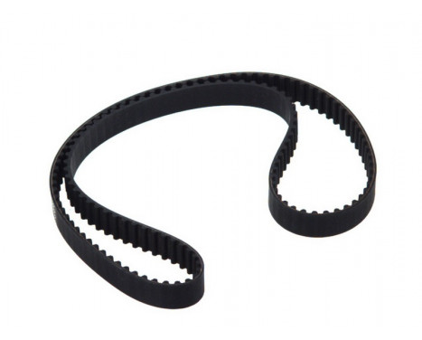 Timing belt CT981 Contitech