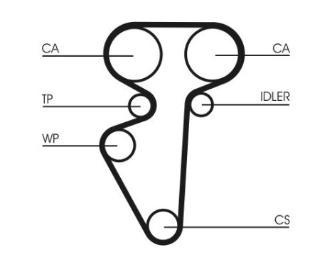Timing belt CT996 Contitech, Image 3