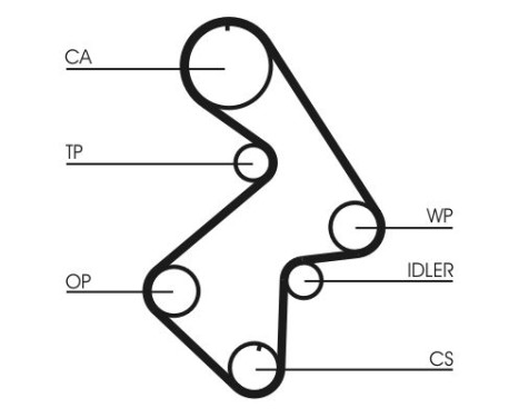 Timing belt CT998 Contitech, Image 4