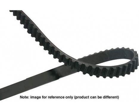 Timing belt DTB-5520 Kavo parts, Image 2