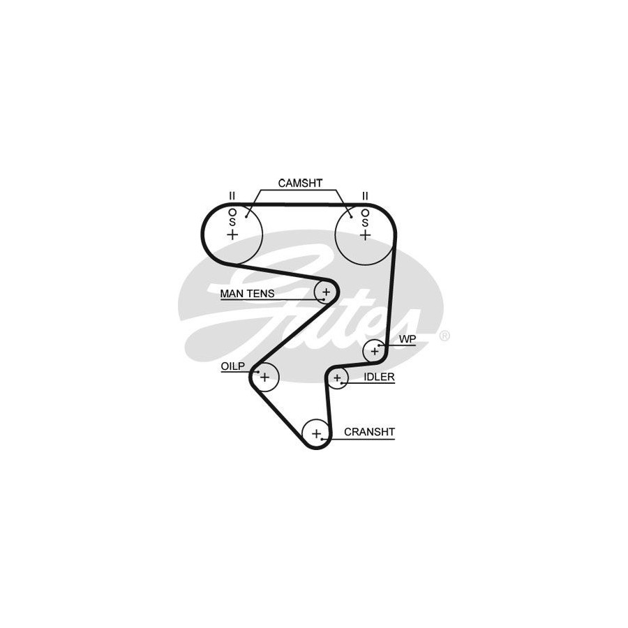 Gates 5194XS timing belt
