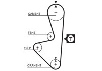 Timing Belt PowerGrip® 5314XS Gates