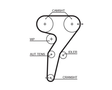Timing Belt PowerGrip® 5429XS Gates, Image 2