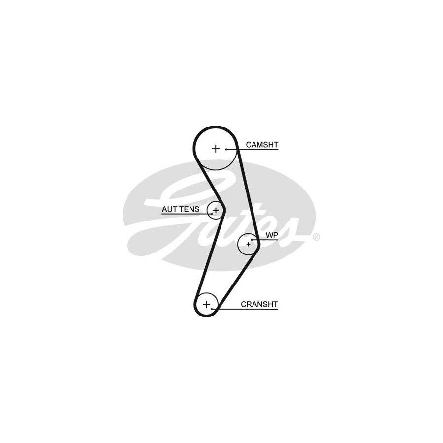 Timing Belt PowerGrip® 5503XS Gates Winparts.eu Timing belt