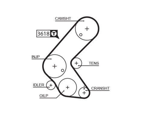 Timing Belt PowerGrip® 5563XS Gates, Image 2