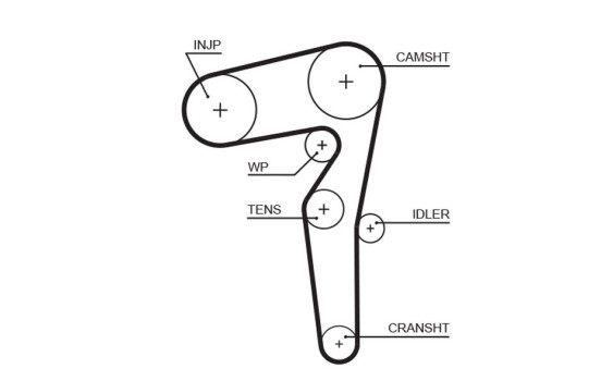 Timing Belt PowerGrip® 5646XS Gates
