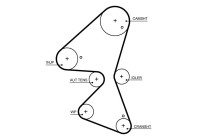 Timing Belt PowerGrip® 5705XS Gates