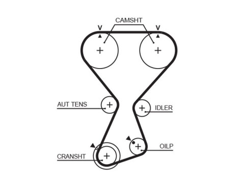 Timing Belt PowerGrip® T313 Gates, Image 2