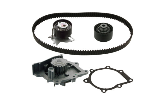 Timing belt set 103081 FEBI