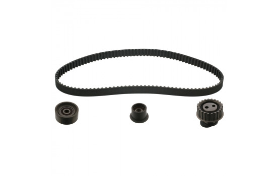 Timing belt set 11025 FEBI