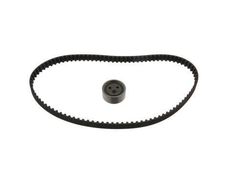 Timing belt set 11157 FEBI