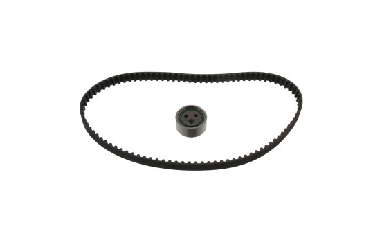 Timing belt set 11157 FEBI