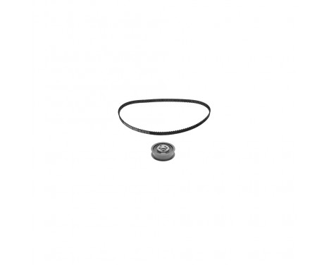 Timing belt set 14622 FEBI