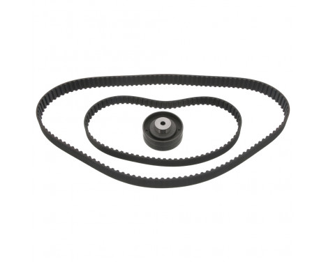 Timing belt set 14636 FEBI