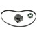Timing belt set 173132 FEBI