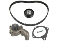 Timing belt set 173161 FEBI