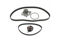 Timing belt set 173211 FEBI