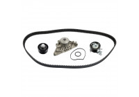 Timing belt set 173215 FEBI