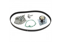 Timing belt set 173232 FEBI