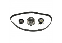 Timing belt set 173254 FEBI