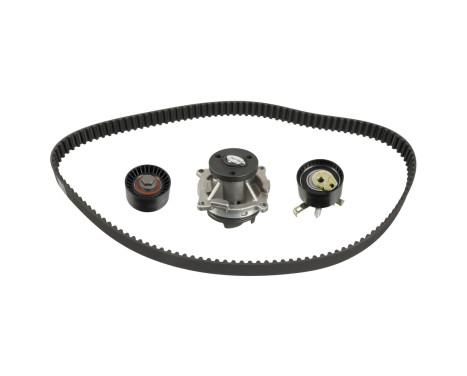 Timing belt set 173254 FEBI