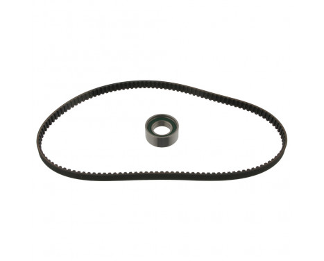 Timing belt set 19658 FEBI