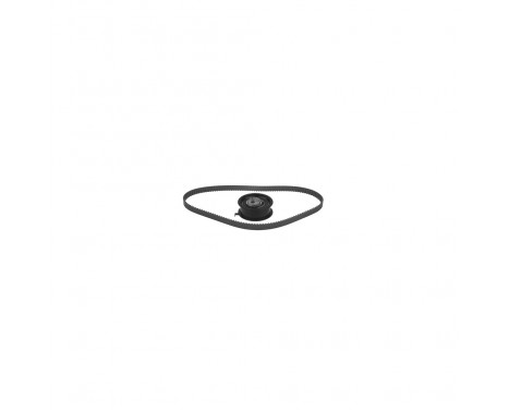 Timing belt set 21238 FEBI