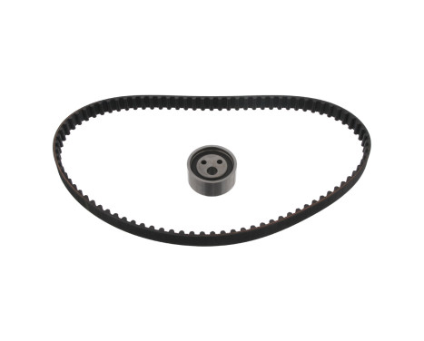 Timing belt set 21249 FEBI