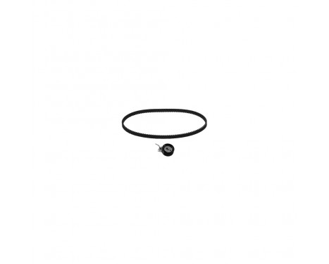 Timing belt set 21274 FEBI